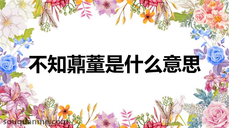 不知薡蕫是什么意思 不知薡蕫的拼音 不知薡蕫的成语解释